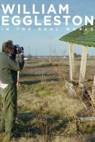 William Eggleston in the Real World 2005 on netflix