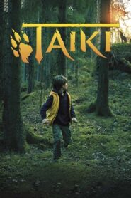 Taiki 2019 on netflix