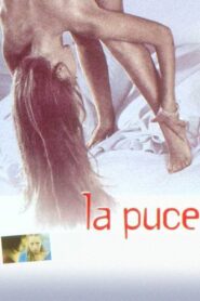 La Puce 1999 on netflix