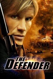 The Defender 2004 on netflix