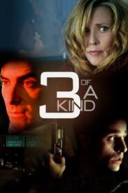 3 of a Kind 2012 on netflix