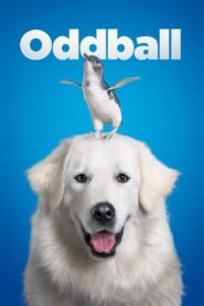 Oddball 2015 on netflix