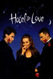Hotel de Love 1996 on netflix