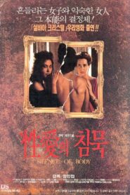 The Silence of Eros 1992 on netflix
