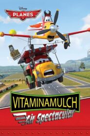 Vitaminamulch: Air Spectacular 2014 on netflix