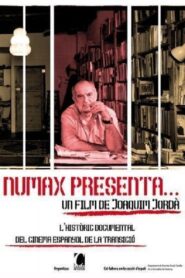 Numax presenta… 1980 on netflix