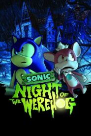 Sonic: Night of the Werehog 2008 on netflix