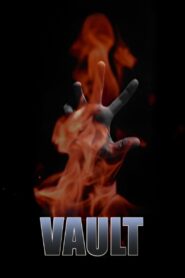 Vault 2008 on netflix