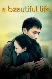 A Beautiful Life 2011 on netflix