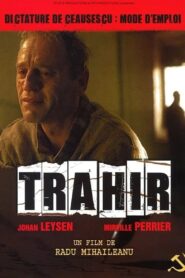 Betrayal 1993 on netflix