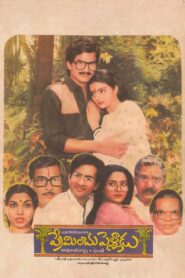 Preminchu Pelladu 1985 on netflix