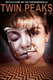 Reflections on the Phenomenon of Twin Peaks 2001 on netflix