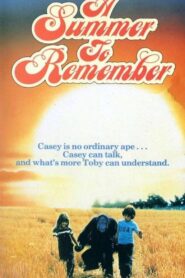 A Summer to Remember 1985 on netflix