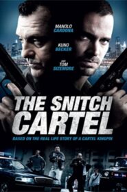 The Snitch Cartel 2011 on netflix