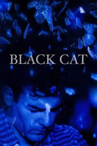 Black Cat 2017 on netflix