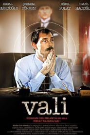 Vali 2009 on netflix