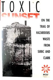 Toxic Sunset 1993 on netflix