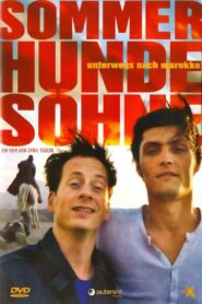 SommerHundeSöhne 2005 on netflix