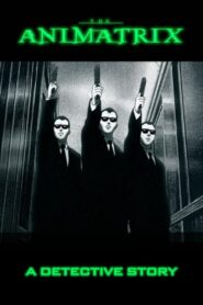 A Detective Story 2003 on netflix