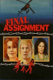 Final Assignment 1980 on netflix