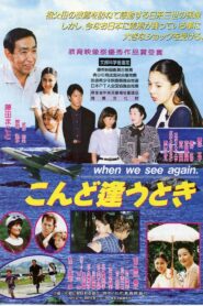 When We See Again 1996 on netflix