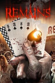 Remains 2011 on netflix