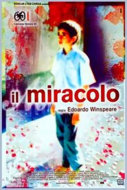 The Miracle 2003 on netflix