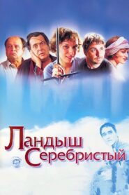 Silver Lily of the Valley 2000 on netflix
