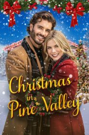 Christmas in Pine Valley 2022 on netflix