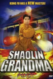 Shaolin Grandma 2008 on netflix
