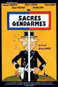 Sacrés gendarmes 1980 on netflix
