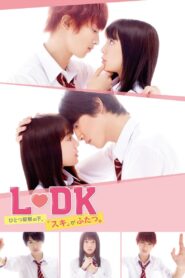 L♡DK: Two Loves Under One Roof 2019 on netflix