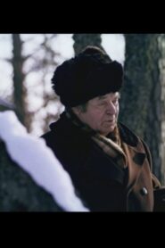 Metsade taga 1981 on netflix