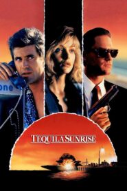 Tequila Sunrise 1988 on netflix