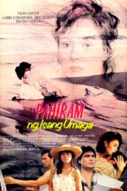 Pahiram ng Isang Umaga 1989 on netflix