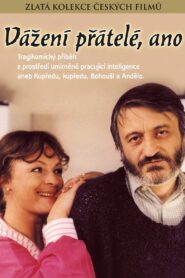 Vážení přátelé, ano 1989 on netflix