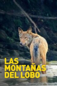 Mountains of the Wolf 2003 on netflix
