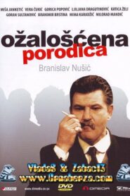 Bereaved Family 1990 on netflix