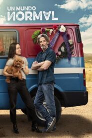 A Normal World 2020 on netflix