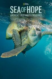 Sea of Hope: America’s Underwater Treasures 2017 on netflix