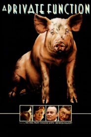 A Private Function 1984 on netflix