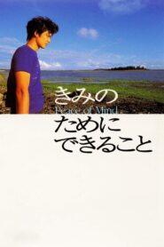 Kimi no tame ni dekiru koto 1999 on netflix