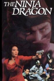 Legend of the Shadowy Ninja: The Ninja Dragon 1990 on netflix