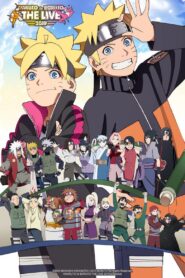 Naruto to Boruto: The Live 2019 2019 on netflix