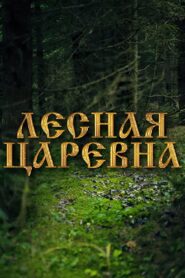 The Forest Sorceress 2005 on netflix