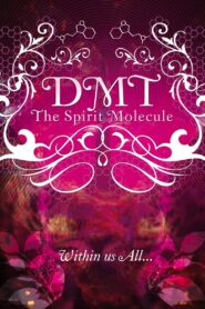 DMT: The Spirit Molecule 2010 on netflix