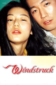 Windstruck 2004 on netflix