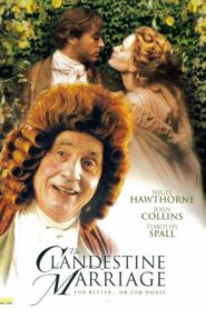 The Clandestine Marriage 1999 on netflix