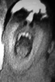 Dont Shout 1983 on netflix