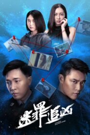 Chasing Mystery Crime 2020 on netflix